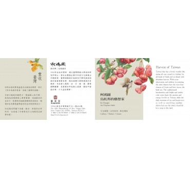 6吋台灣果鳥糖果罐_柯鴻圖 3入限定優惠(3入下單專用)